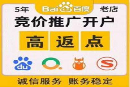 成功SEM投放案例分享